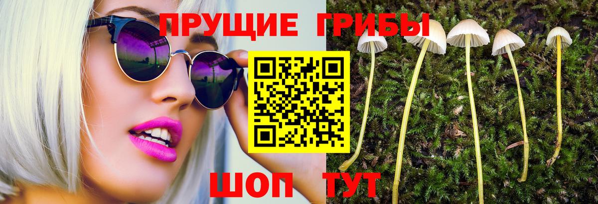 Майский  Псилоцибиновые грибы Magic Shrooms  Вход с VPN 